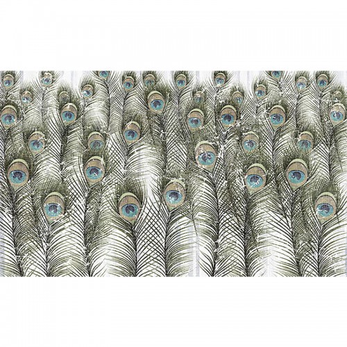 پوستر دیواری دنیای طاووس ها مدل BCW430-2