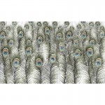 پوستر دیواری دنیای طاووس ها مدل BCW430-2