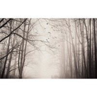 پوستر دیواری جنگل رازآلود مدل BCW373-2