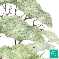 پوستر دیواری کودک جنگل انبوه مدل BKW229-4