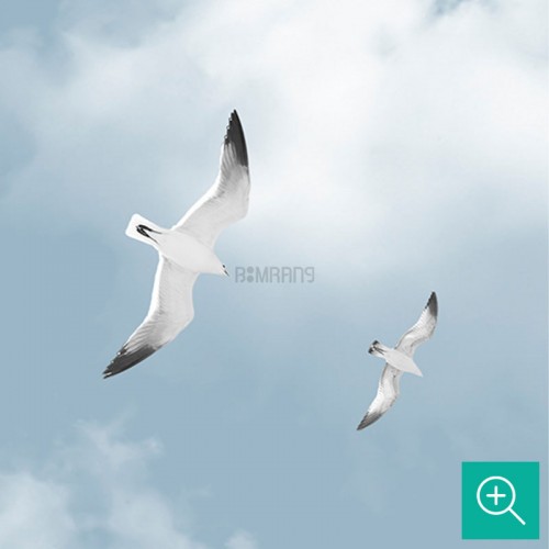 پوستر دیواری کودک نقشه جهان و بالون ها مدل BKW269-4
