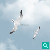 پوستر دیواری کودک نقشه جهان و بالون ها مدل BKW269-4