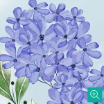پوستر دیواری کودک بند بازی حیوانات مدل BKW345-4