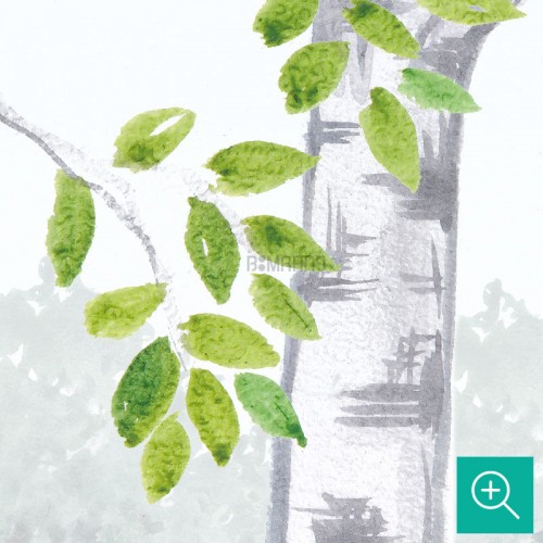 پوستر دیواری کودک جنگل سرسبز مدل BKW408-4