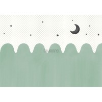 پوستر دیواری کودک شب مهتابی مدل BKW442-2
