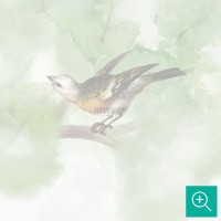پوستر دیواری کودک جنگل سرسبز مدل BKW456-4