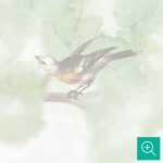 پوستر دیواری کودک جنگل سرسبز مدل BKW456-4