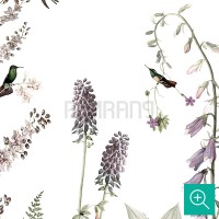 پوستر دیواری کودک پرچین مرغ مگس خوار مدل KB27-4