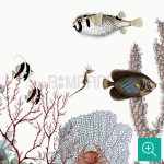 پوستر دیواری کودک عمق اقیانوس مدل KB38-2-3